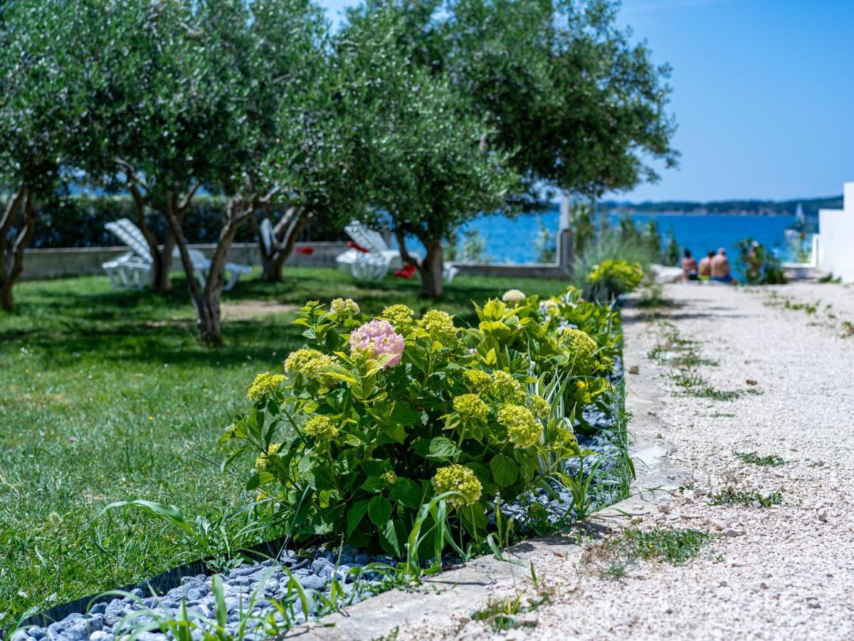 Apartmani Vinko Bibinje Exteriér fotografie