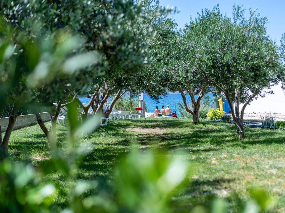 Apartmani Vinko Bibinje Exteriér fotografie